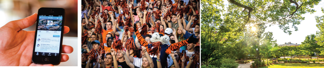 banner image collage - hand holding cell phone, Aubie at a football game, Samford lawn
